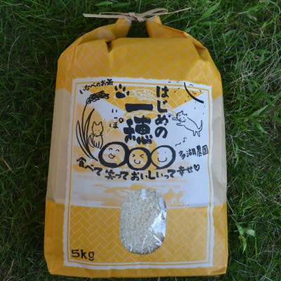 令和8年産コシヒカリ 多湖農園の『はじめの一穂』5kg 精米
