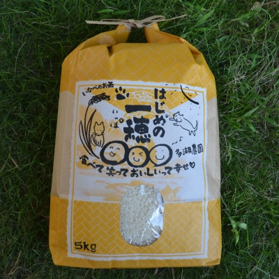令和8年産ミルキークイーン 多湖農園の『はじめの一穂』5kg 精米
