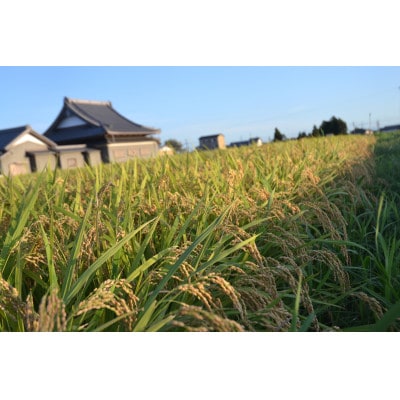 令和8年産ミルキークイーン 多湖農園の『はじめの一穂』5kg 精米