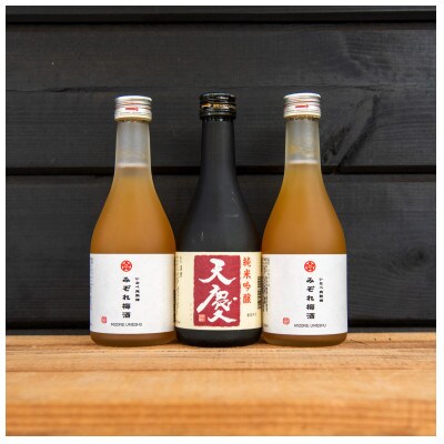 梅酒日本酒3本セット