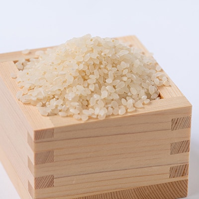 令和7年産　コシヒカリ 5kg