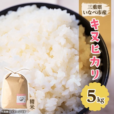令和7年産　キヌヒカリ 5kg