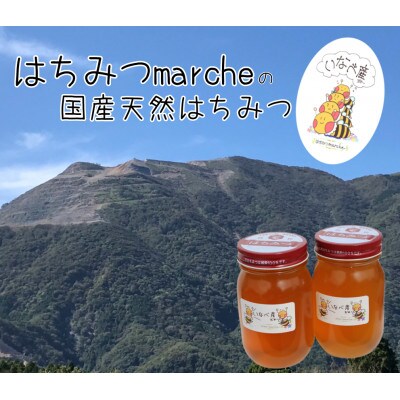 【2024年11月上旬発送】いなべの天然はちみつ瓶600g2本セット