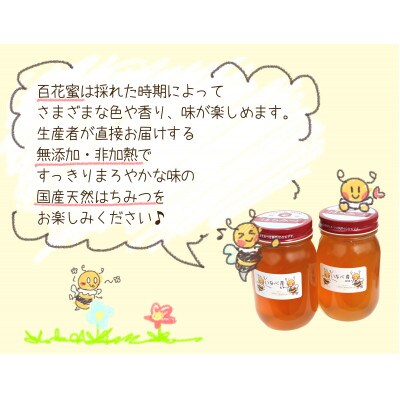 【2024年11月上旬発送】いなべの天然はちみつ瓶600g2本セット