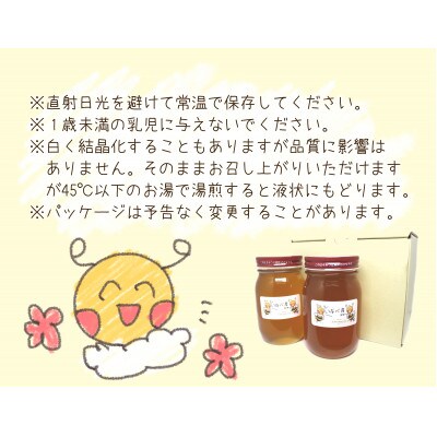 【2024年11月上旬発送】いなべの天然はちみつ瓶600g2本セット