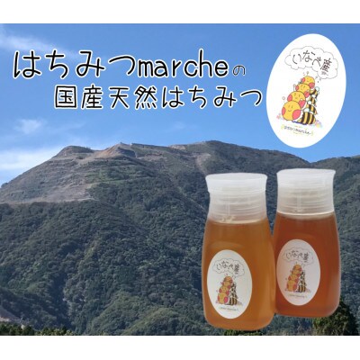【2024年7月上旬発送】いなべの天然はちみつボトル300g×2本セット