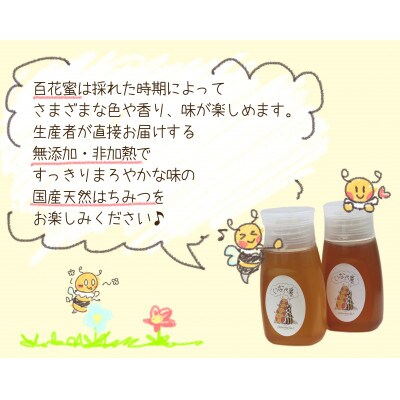 【2024年7月上旬発送】いなべの天然はちみつボトル300g×2本セット