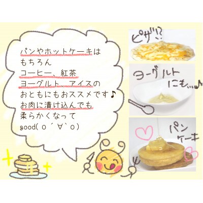 【2024年7月上旬発送】いなべの天然はちみつボトル300g×2本セット