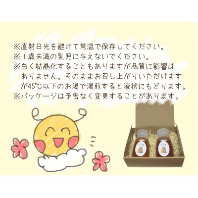 【2024年7月上旬発送】いなべの天然はちみつボトル300g×2本セット