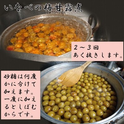 いなべの梅甘露煮 [2ビン]　甘酸っぱいトロトロのスウィーツ感をお楽しみください。