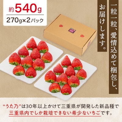 【イオンいなべ農場からお届け!】いちご「うた乃」約270g×2パック