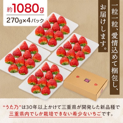【イオンいなべ農場からお届け!】いちご「うた乃」約270g×4パック