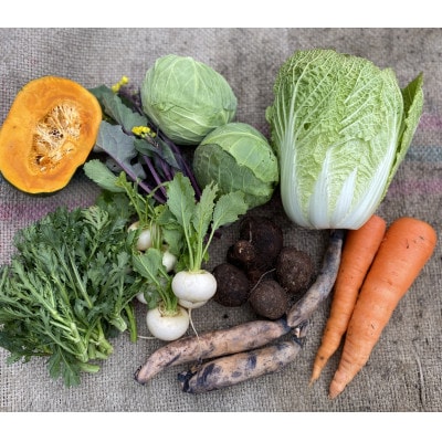 【さとふる限定】旬の野菜9品詰め合わせ　栽培期間中農薬肥料不使用