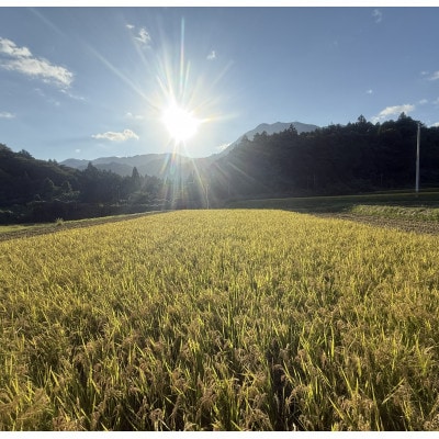 【さとふる限定】八風朝日米 白米2kg 栽培期間中農薬肥料不使用