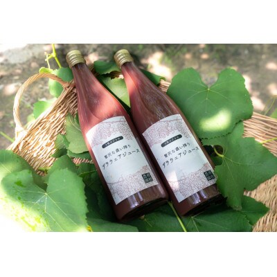 贅沢な濃い搾り　デラウェアジュース　720ml 2本