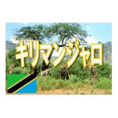 タンザニアキリマンジャロコーヒー500g(挽)&古墳ドリップバッグ1袋