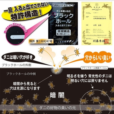 ダニ捕りパック ブラックホール 2個入り