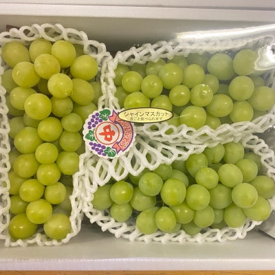 シャインマスカット約2kg(2～3房)