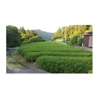 季節のジャムとほうじ茶セット