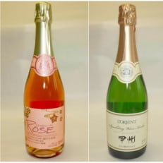 山梨県産スパークリングワイン2本セット(ロゼ・甲州) | ふるさと納税のお礼品