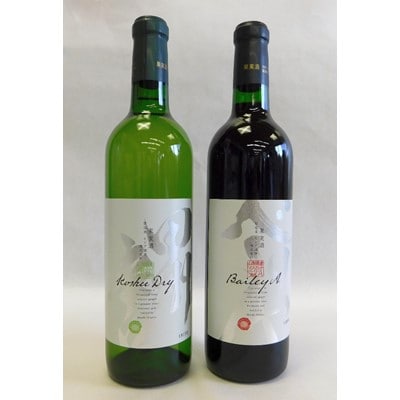 山梨の地ワイン2本セット(モンデ酒造　赤白)