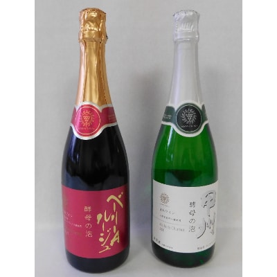 山梨県産ベーリーA種と甲州種から造った辛口スパークリングワイン2本セット【マンズワイン】