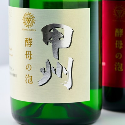 山梨県産ベーリーA種と甲州種から造った辛口スパークリングワイン2本セット【マンズワイン】