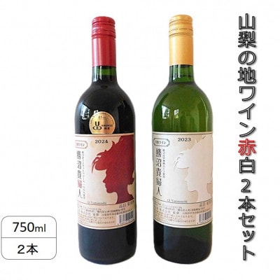 山梨の地ワイン赤白2本セット(東夢 勝沼貴婦人)