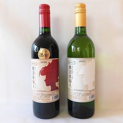 山梨の地ワイン赤白2本セット(東夢 勝沼貴婦人)