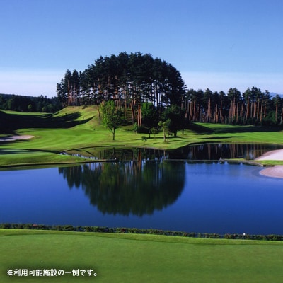 やまなしグリーン・ゾーン プレミアム認証施設共通利用券 13,000円分