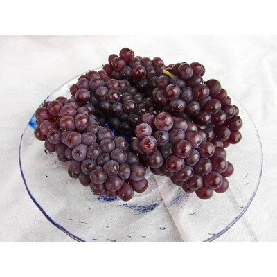 温室デラウェア 1kg(7~8房)