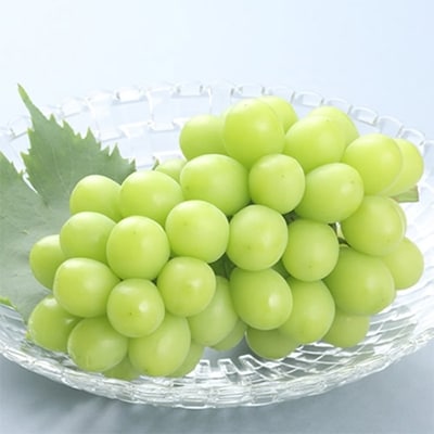 もぎたて!山梨産シャインマスカット2房(約500g×2房)