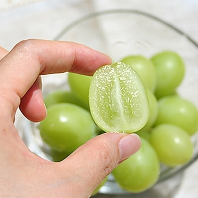 もぎたて!山梨産シャインマスカット2房(約500g×2房)