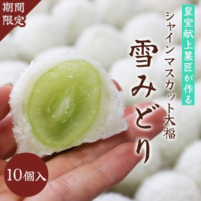 【先行受付】シャインマスカットが丸ごと1粒入った　ぶどう大福「雪みどり」10個