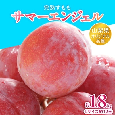 山梨県オリジナル品種の完熟すもも「サマーエンジェル」舌の上でとろけるなめらかな果肉
