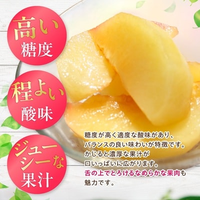 山梨県オリジナル品種の完熟すもも「サマーエンジェル」舌の上でとろけるなめらかな果肉