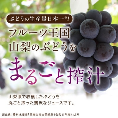 【2026年発送】ぶどうジュース 1000ml 2本 食べる感覚【無添加・無糖】100%ストレート
