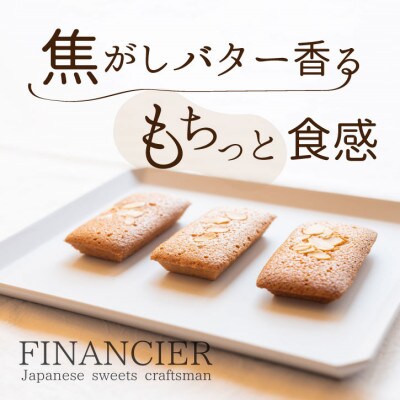 皇室献上菓子舗 特製 贅沢蒸羊羹とフィナンシェ10個セット