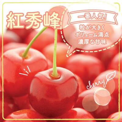【先行受付】果汁感たっぷり!さくらんぼ「紅秀峰(べにしゅうほう)」大粒を約500g 6月にお届け