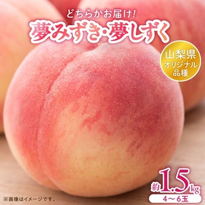 日本一の桃の里 山梨よりもぎたてを直送!山梨県オリジナル品種「夢みずき・夢しずく」1.5キロをお届け