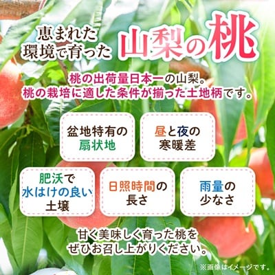 日本一の桃の里 山梨よりもぎたてを直送!山梨県オリジナル品種「夢みずき・夢しずく」1.5キロをお届け