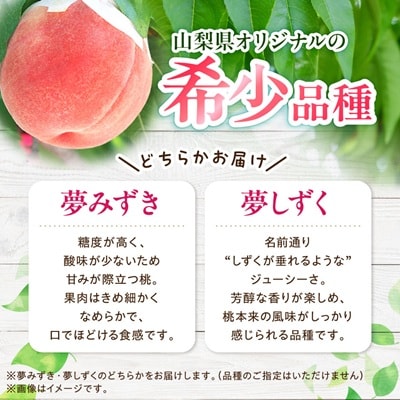 日本一の桃の里 山梨よりもぎたてを直送!山梨県オリジナル品種「夢みずき・夢しずく」1.5キロをお届け