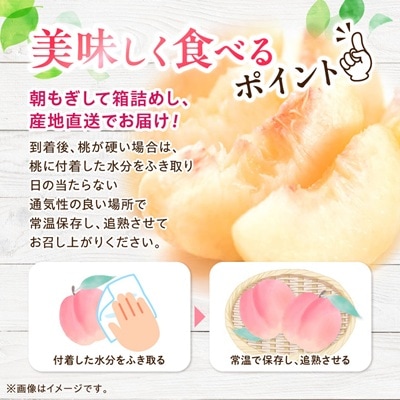日本一の桃の里 山梨よりもぎたてを直送!山梨県オリジナル品種「夢みずき・夢しずく」1.5キロをお届け