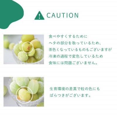 【2025年】冷凍シャインマスカット 『甲斐の実』 山梨県産ぶどう100g×8袋