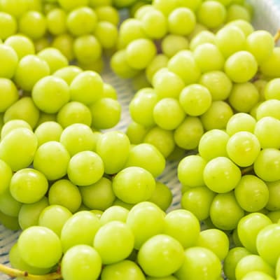 【2025年】冷凍シャインマスカット 『甲斐の実』 山梨県産ぶどう400g×2箱
