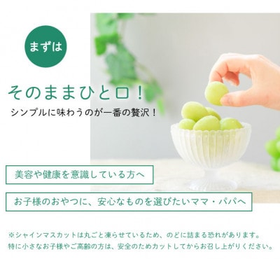 冷凍フルーツ【甲斐の実】食べ比べセット シャインマスカット 桃 山梨 無添加スイーツ 400g×2箱