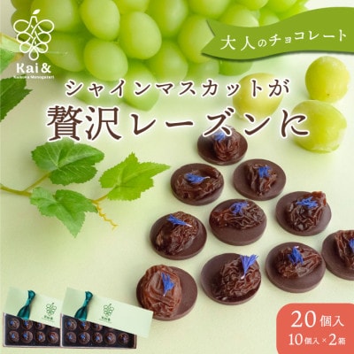 山梨県産シャインマスカット使用 大粒レーズンのチョコレート マンディアン 10個入り×2箱