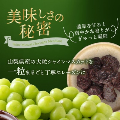 山梨県産シャインマスカット使用 大粒レーズンのチョコレート マンディアン 10個入り×2箱