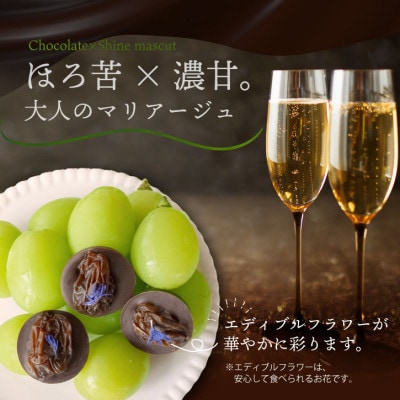 山梨県産シャインマスカット使用 大粒レーズンのチョコレート マンディアン 10個入り×2箱