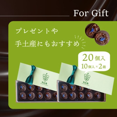 山梨県産シャインマスカット使用 大粒レーズンのチョコレート マンディアン 10個入り×2箱